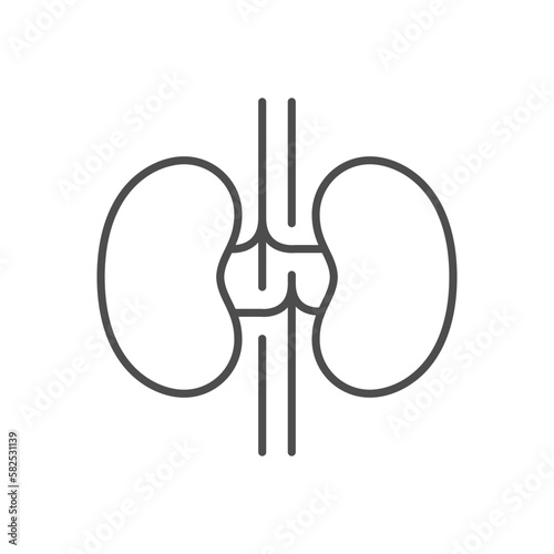 Human kidneys line outline icon