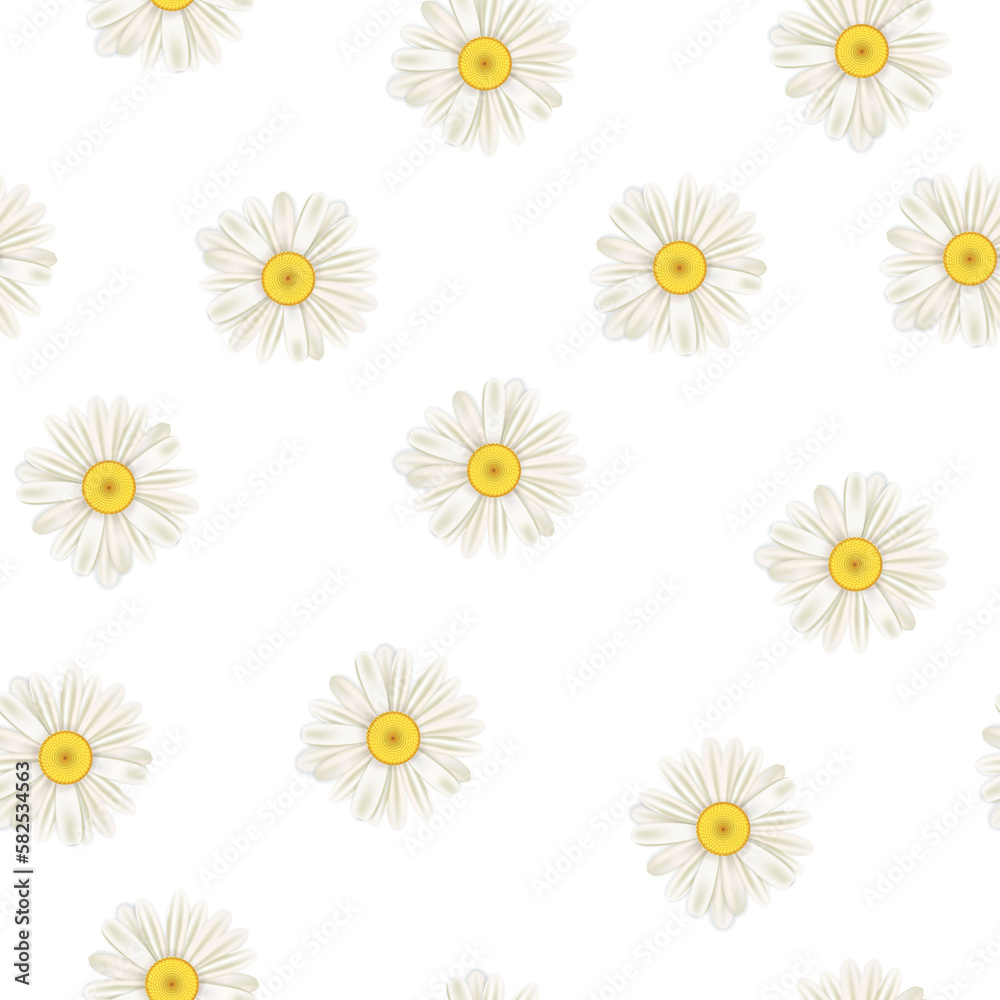 Daisy flowers seamless pattern, white realistic chamomiles