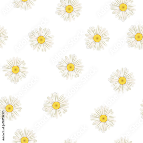 Daisy flowers seamless pattern, white realistic chamomiles