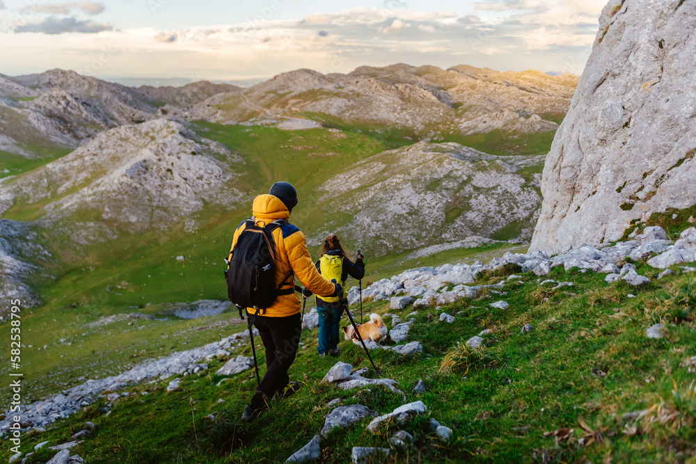 couple of hikers with their dog contemplating a green valley and the mountains. mountaineers descending a mountain equipped with trekking poles and backpacks. outdoor sport.