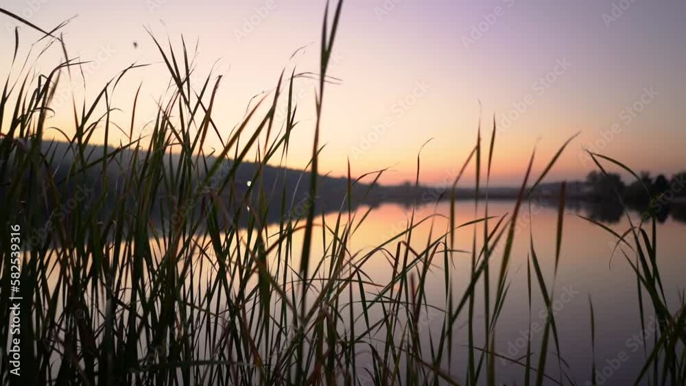 Evening time near the river with beautiful nature overlooking the red-orange sunset Evening time near the river with beautiful nature overlooking the red-orange sunset