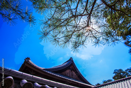 Wooden Pagoda  building of Shintoism , sun shining on needles of pine tree