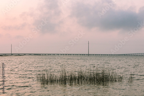 Rushes in Apalachicola Bay, Florida with the bridge in the background at dusk. © Margaret Burlingham
