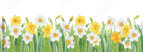 Watercolor daffodils in green grass seamless border.
