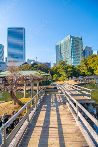 Hamarikyu Gardens is a large and attractive landscape garden in Tokyo, Chuo district, Sumida River, Japan. Oriental japanese garden. The Hama Rikyu is in contrast to the skyscrapers of city. photo