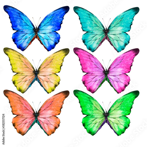 Bright butterflies set. Watercolor illustration, poster. © Viktoryia