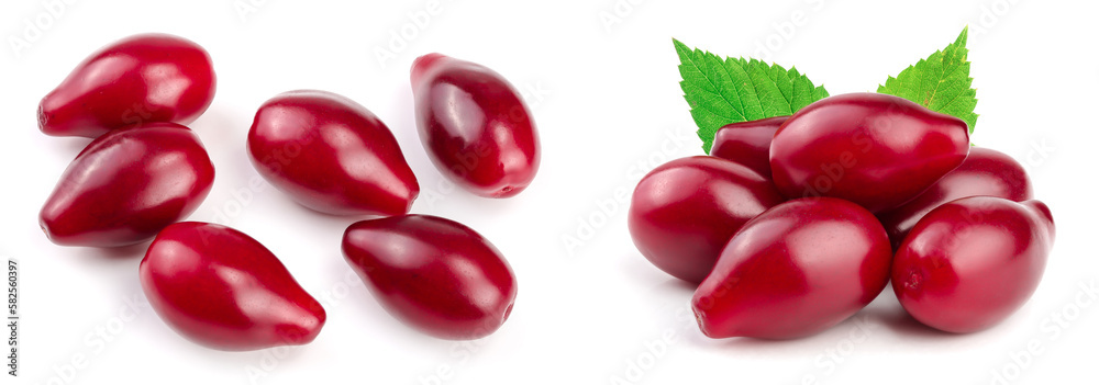 Red berries of cornel or dogwood isolated on white background. Top view. Flat lay Red berries of cornel or dogwood isolated on white background. Top view. Flat lay