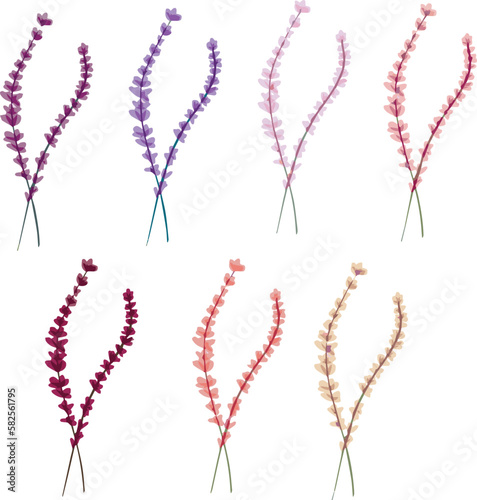 Sprigs of lavender, lilac, vironic, tenacity of different warm shades on a spring theme for postcards, invitations, business cards, announcements