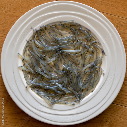 Galaxias maculatus - A plateful of whitebait, or inanga, a delicacy in New Zealand, recently thawed and about to be cooked