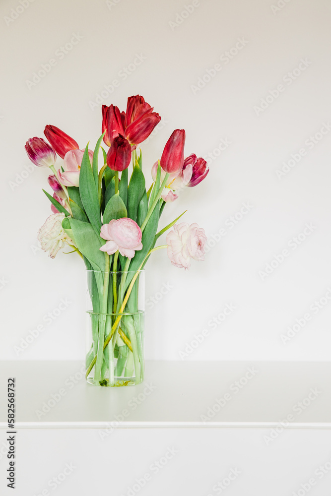 Pink and red tulips in a vase on a white background. Real flowers in the house for spring feelings