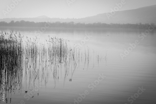 Monochromatic reeds on the Pusiano lake