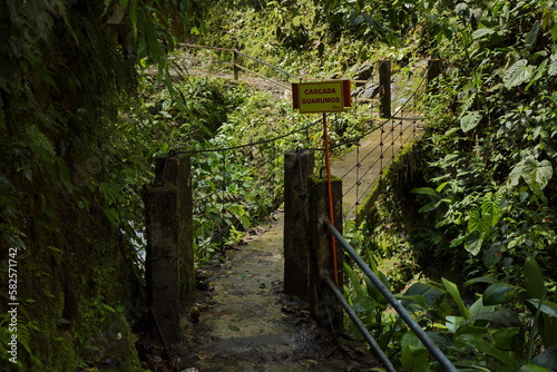 Hiking track Santuario de Cascadas at the waterfall Cascada Guarumos in Minjoy Park in Mindo, Ecuador, South America
 photo