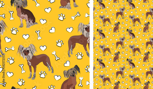Chinese Crested dog on a playful yellow background with bones and paws. Funky, colorful vibe, vibrant palette. Simple, clean, modern texture. Summer seamless pattern with dogs. Birthday present. Love.