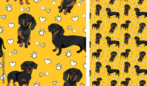 Dachshund dog on a playful yellow background with bones and paws. Funky, colorful vibe, vibrant palette. Simple, clean, modern texture. Summer seamless pattern with dogs. Birthday present. Love.