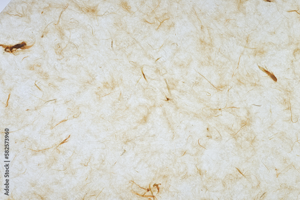 backlit tissue paper background backlit tissue paper background