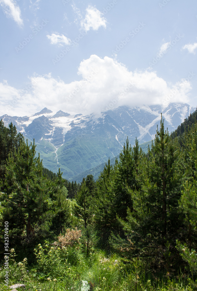 Pastoral landscape - green hillsides and snowy peaks of the high Caucasus mountains with glaciers on a sunny summer day and an alpine meadow with grass and trees in Kabardino-Balkaria in the Terskol