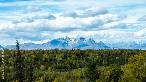 Mountain Range behind Forest in Denali Alaska 