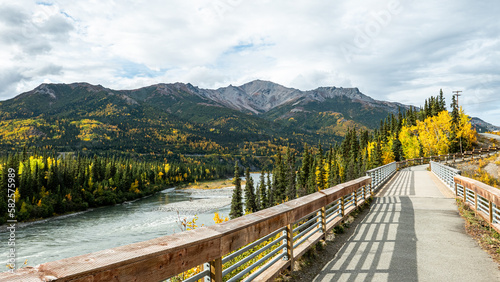Bridge across River with Golden Hills in Denali Alaska