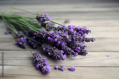 Lavender pictures showcase the delicate and fragrant flowers of the Lavandula genus  typically featuring shades of purple and blue. 