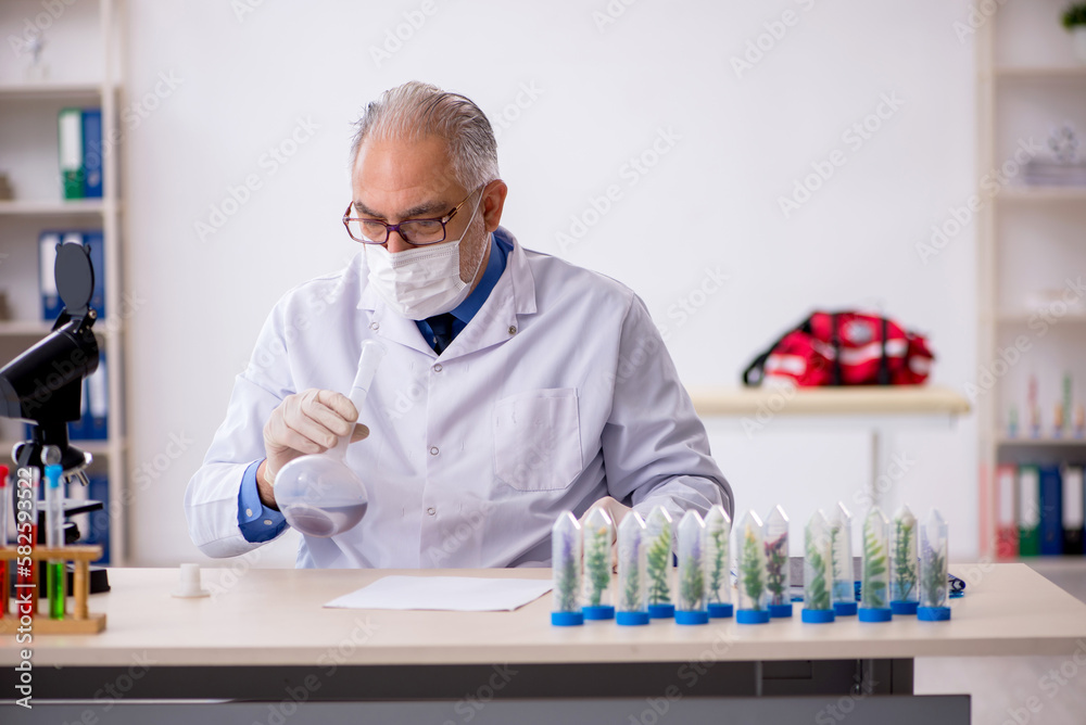 Old male chemist in drugs synthesis concept Old male chemist in drugs synthesis concept