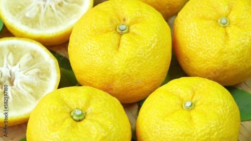 Yuzu Orange fruit in wooden basket over blur greenery background, Yuzu Orange fruit, Citron citrus over green natural Blur background.