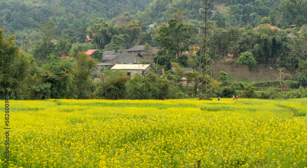 See the landscape of fields, villages in the northern countryside of Vietnam