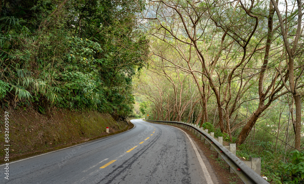 Winding road with tall trees in the mountains of northern Vietnam Winding road with tall trees in the mountains of northern Vietnam