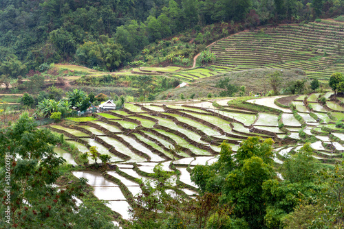 See the landscape of fields, villages in the northern countryside of Vietnam