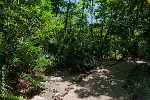 Ancient mayan white road, known as "sakbe"
