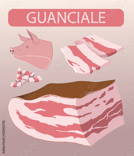 guanciale illustration, pork meat in italian cuisine