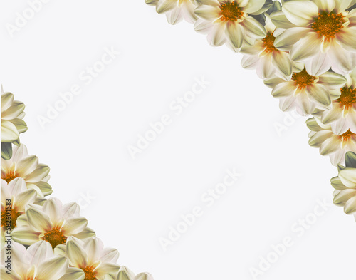 frame of flowers