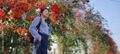 Bougainvillea Flower Wall, Changhua, TaiwanTaiwan photo