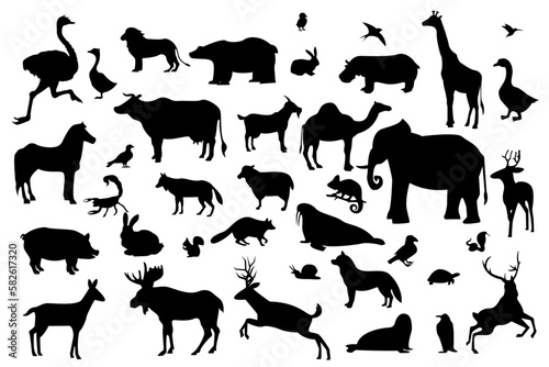 vector collection of many animal silhouettes