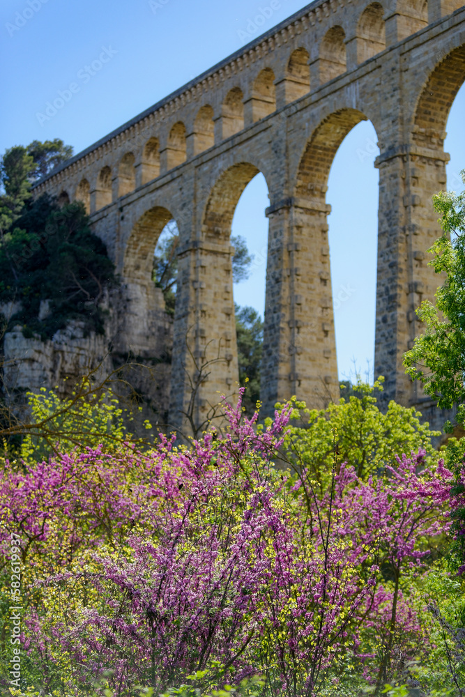 Obraz premium L'Aqueduc de Roquefavour en Provence