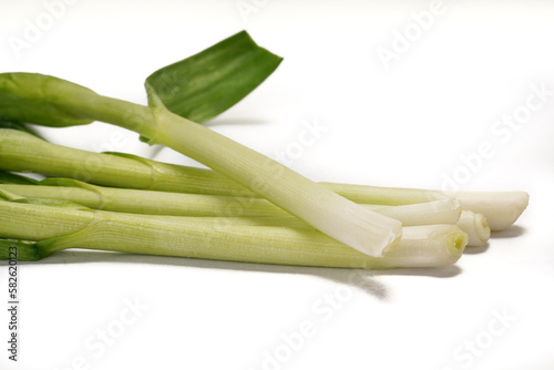 Green onions close-up on white background