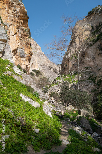 A beautiful hiking trail leads through the Avakas Gorge in Cyprus near Paphos. Between the narrow rocks, the sun shines from the cloudless deep blue sky.