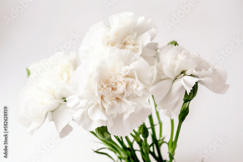 Mother's day carnations, bouquet. pure white background. generative Ai technology