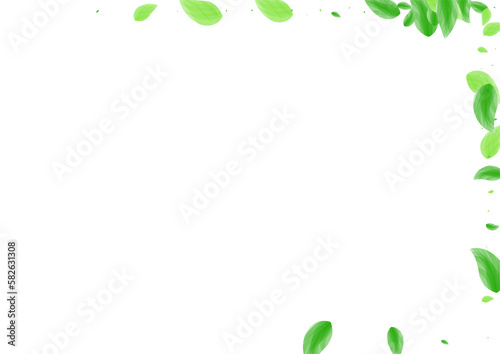 Light Green Foliage Background White Vector. Leaf Aroma Design. Symbol Frame. Greenish Clear Texture. Plant Figure.