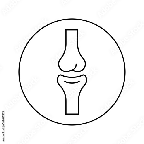 Vector linear icon joint, bone.