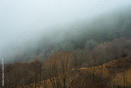 Morning fog in the mountains of Bulgaria in early spring