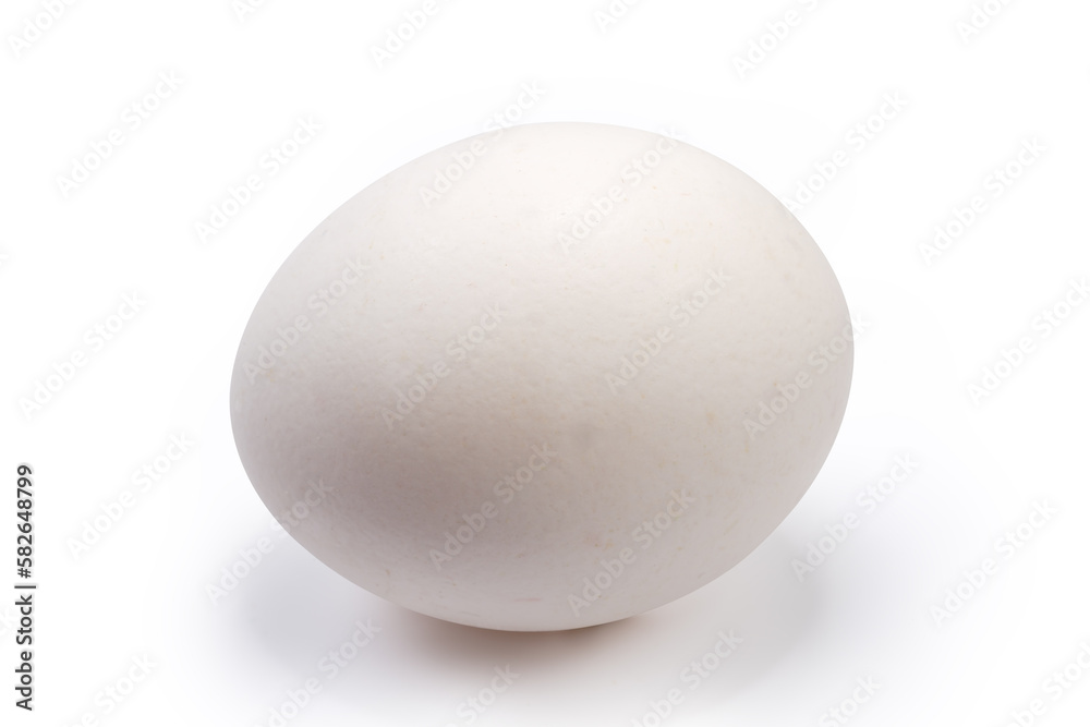 Whole white chicken egg on a white background Whole white chicken egg on a white background