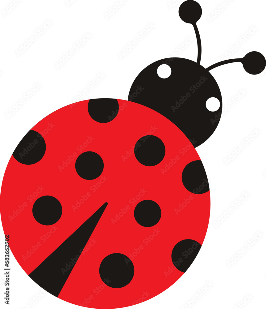 Ladybug or ladybird vector illustration, isolated on transparent background. Cute simple flat design of black and red lady beetle. Ladybug or ladybird vector illustration, isolated on transparent background. Cute simple flat design of black and red lady beetle.
