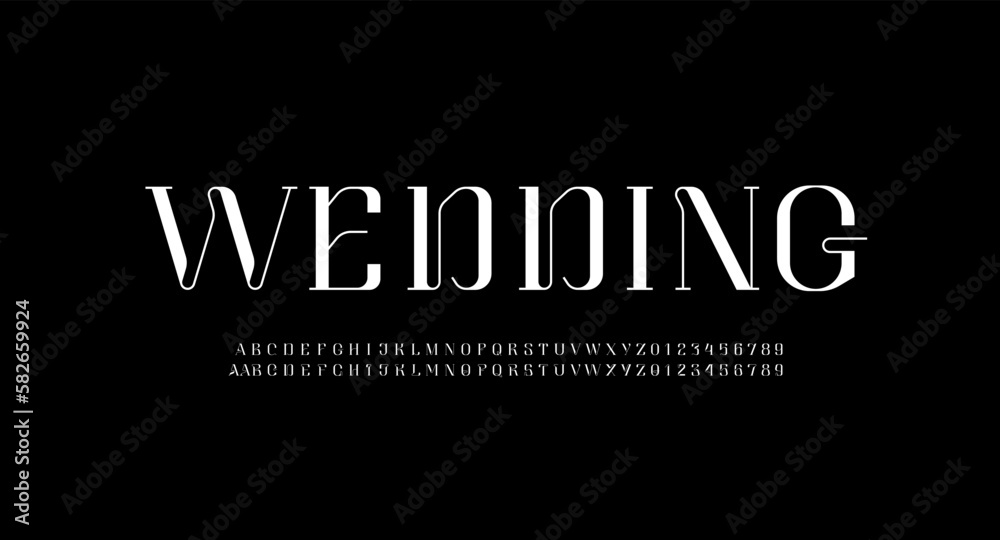 Obraz premium Beautiful elegant alphabet serif font, classic lettering perfect for logotypes, wedding invitations, or fashion design, set including two sets of differently written drawn letters and numbers