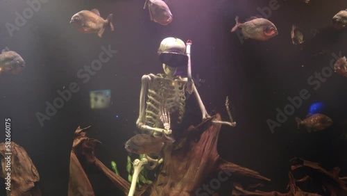 Fish swim around a skeleton model, in mysterious lighting. Skeleton with scuba diving goggles in the aquarium