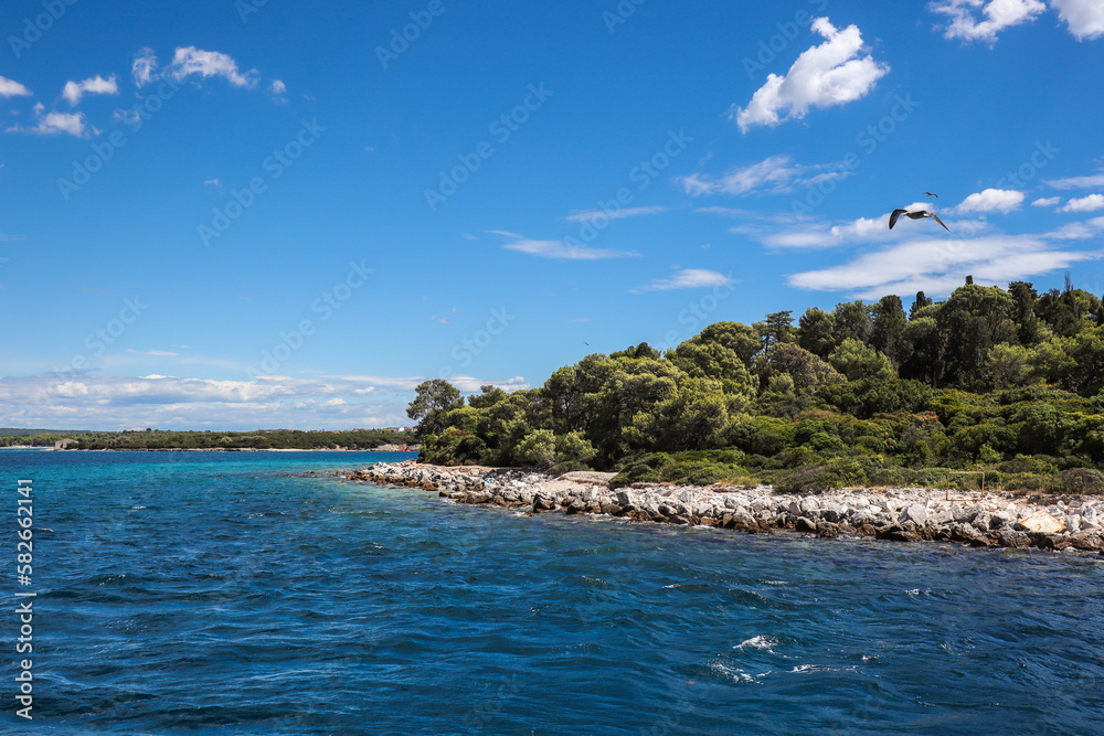 Fototapeta premium Sveti Jerolim Island with Flying Seagull. Brijuni National Park with Adriatic Sea during Summer Day in Croatia.