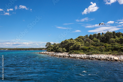 Sveti Jerolim Island with Flying Seagull. Brijuni National Park with Adriatic Sea during Summer Day in Croatia.