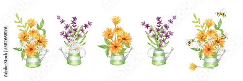 Watercolor set Lavender Clipart. A bouquet of lavender in a metal watering can. Composition of Lavender and Chamomile flowers , sunflowers, daisies and bees. Hand drawing.