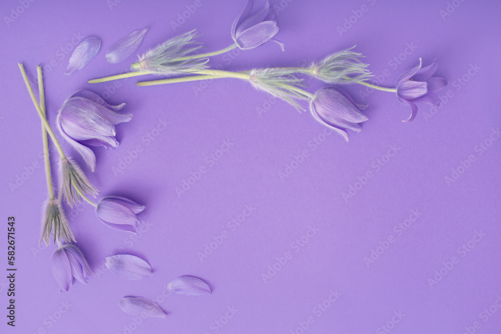 purple flowers on paper background