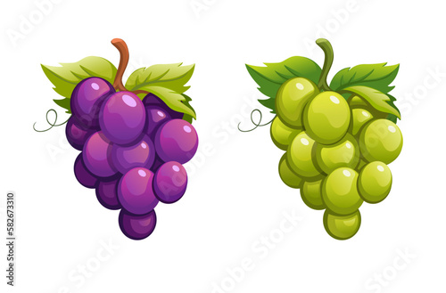 Grape purple and green color set cartoon illustration vector