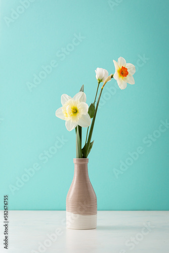 Spring flowers daffodils in vase on mint background